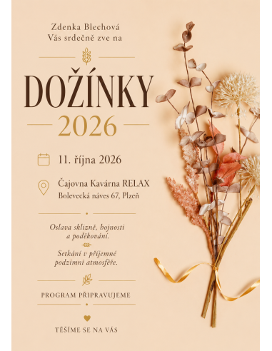 11. 10. 2026 - vstupenka Dožínky