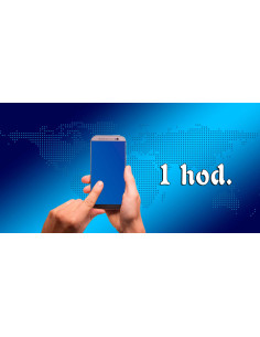 Poradna telefon/WhatsApp - 1 hod.